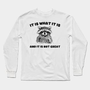 It Is what it is and it is not great, Cartoon Meme Top, Vintage Cartoon Sweater, Unisex Long Sleeve T-Shirt